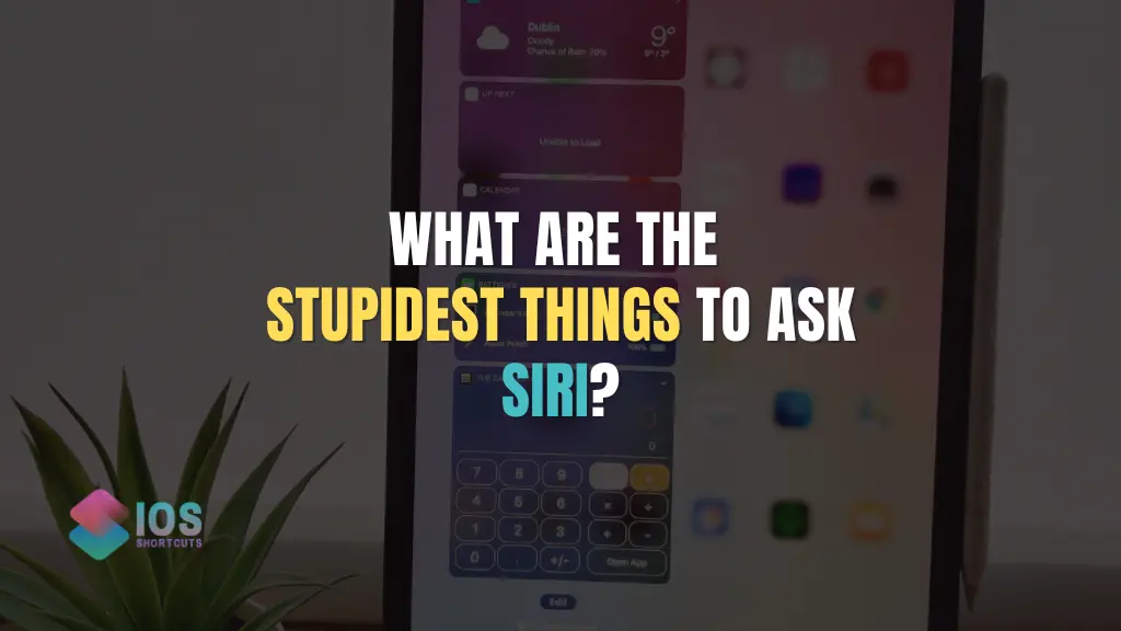 Stupid Things To Ask Siri